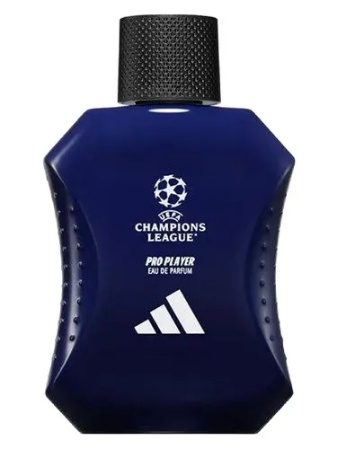 Imagen de UEFA Champions League Pro Player