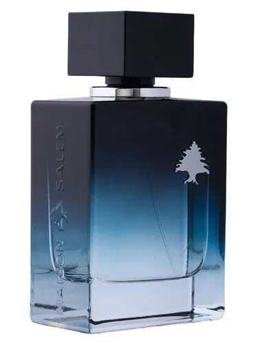 Perfume Rayann de Maison Salem