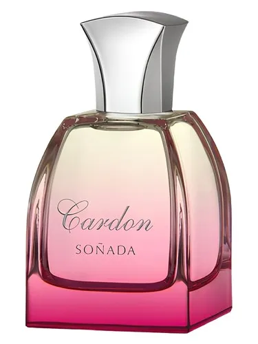 Imagen de Cardon Soñada