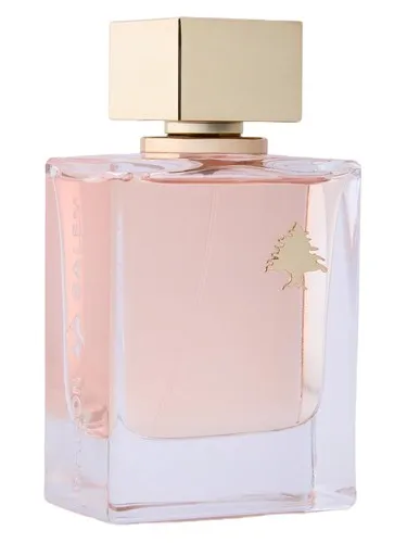Perfume Suhailah de Maison Salem