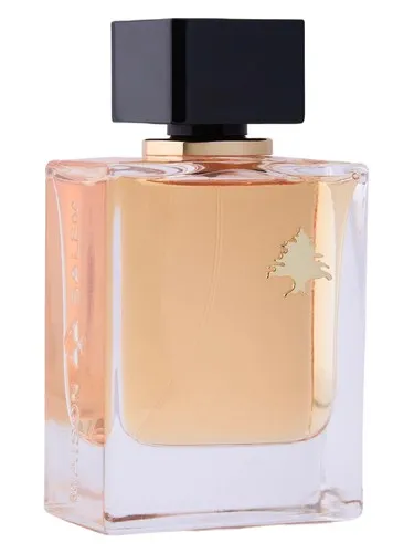 Perfume Yasla de Maison Salem