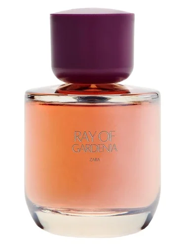 Perfume Ray of Gardenia de Zara