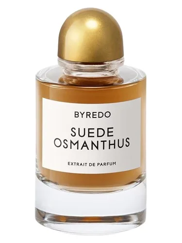 Imagen de Suede Osmanthus