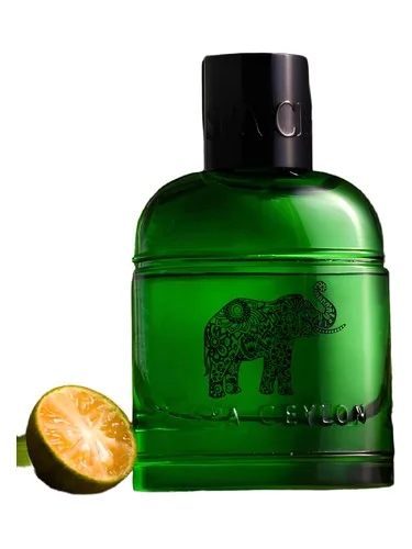 Perfume Forest Escape Ceylon Elephant de Spa Ceylon