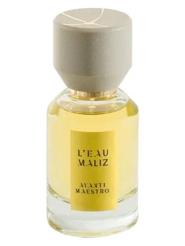 Perfume Avanti Maestro de L'Eau Maliz