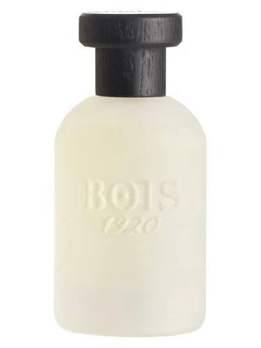 Perfume Musk 1920 de Bois 1920