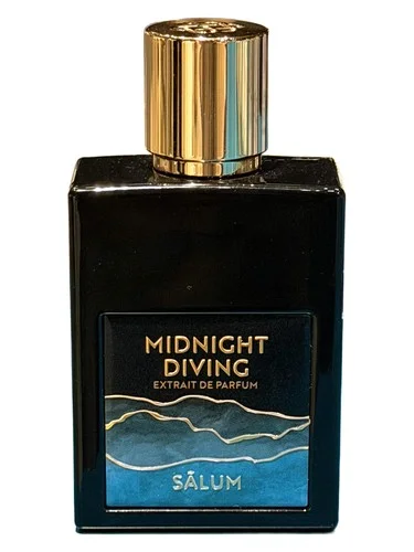 Imagen de Midnight Diving