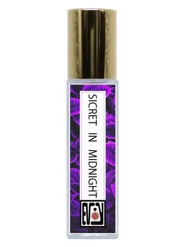 Imagen de Secret in Midnight