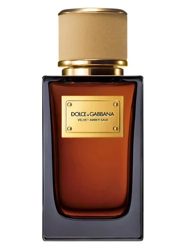 Perfume Velvet Amber Sage de Dolce&Gabbana