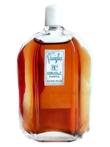 Perfume Vaniglia de Borsari