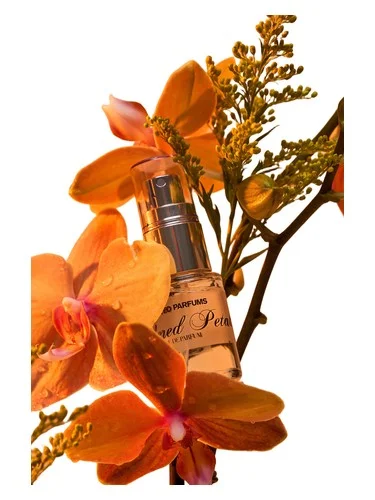 Perfume Ambered Petal de Matteo Parfums